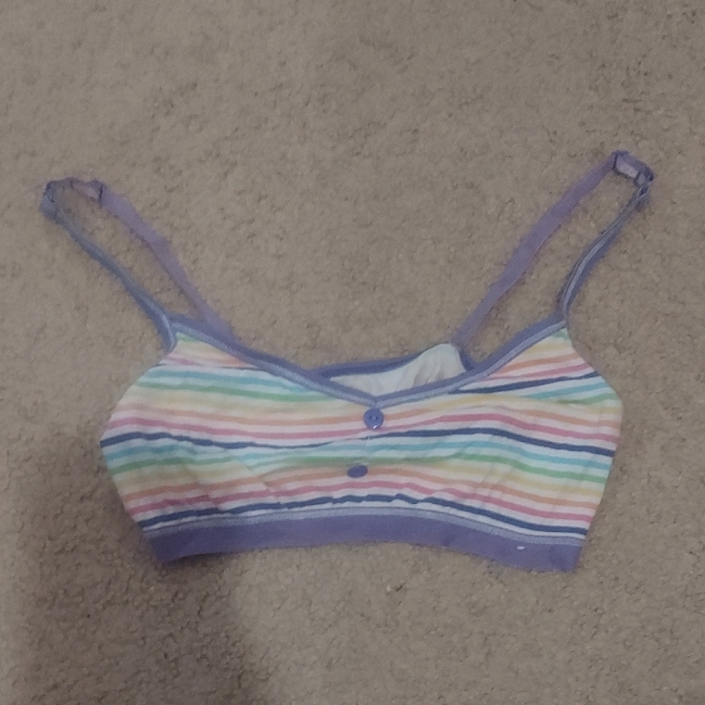 Striped Multicolor Bralette with Purple Trim
